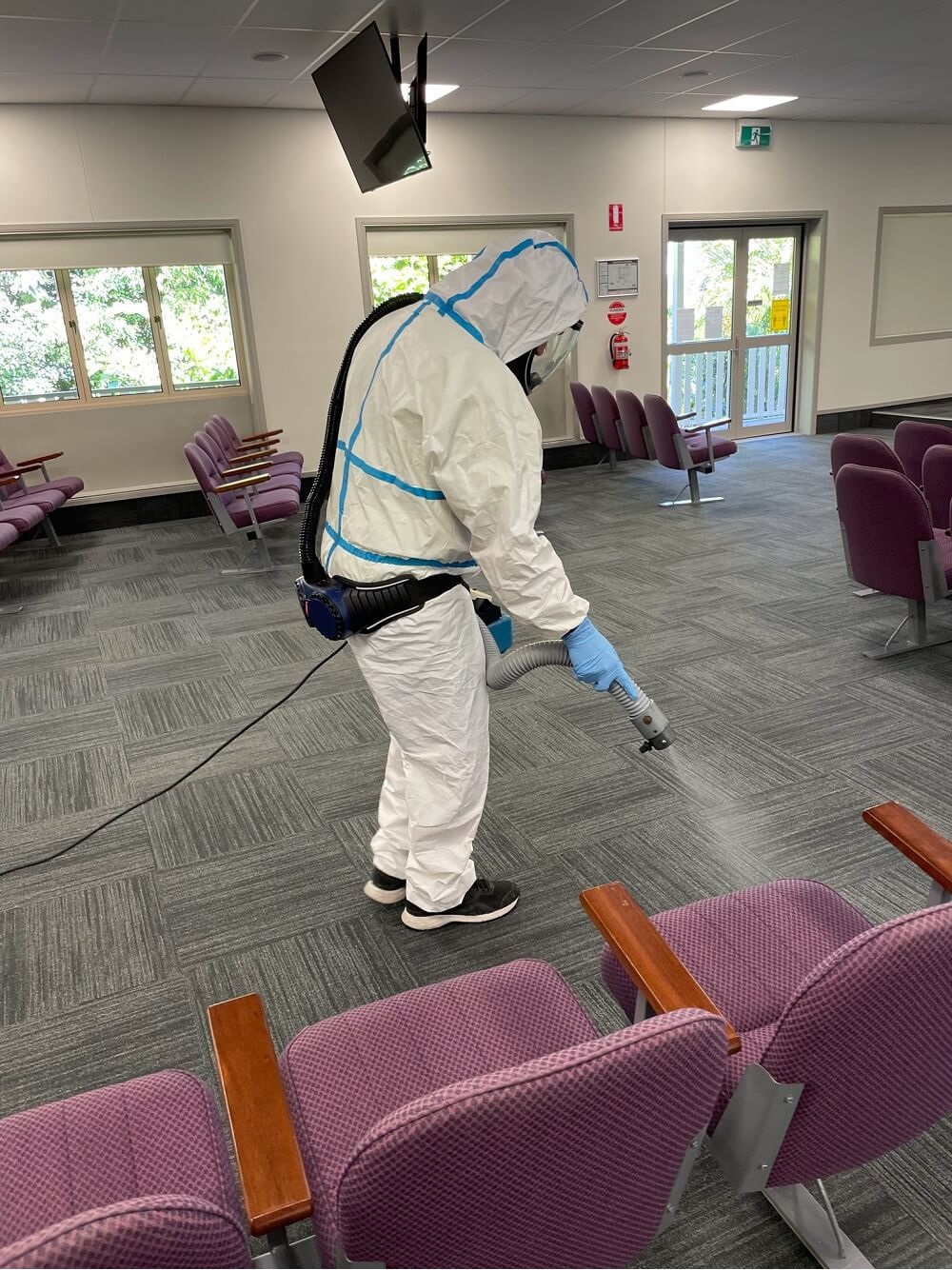 Mould Removal